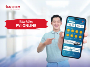Bảo hiểm PVI online