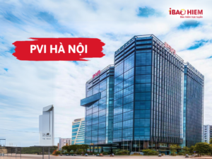 PVI Hà Nội
