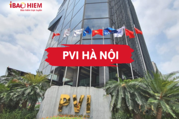 PVI Hà Nội