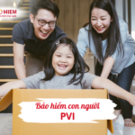 Bảo hiểm con người PVI