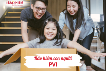 Bảo hiểm con người PVI