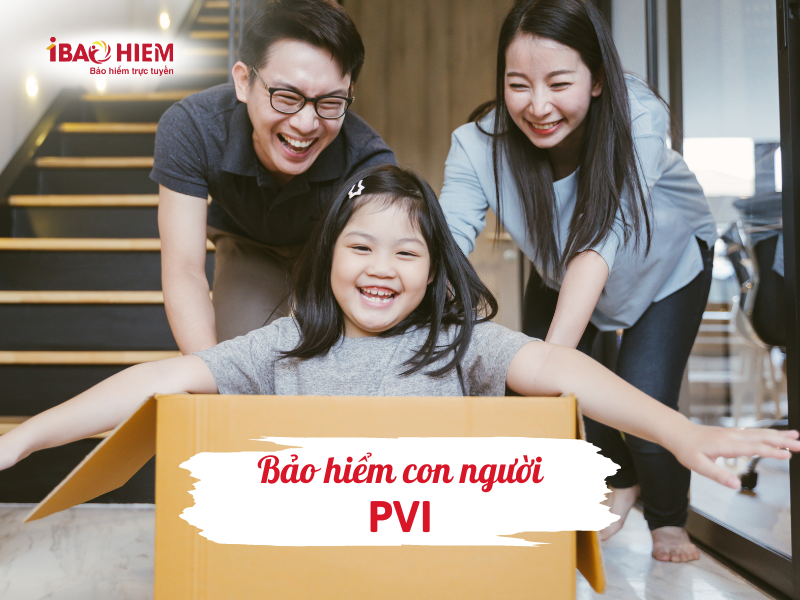 Bảo hiểm con người PVI