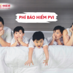 Phí bảo hiểm PVI