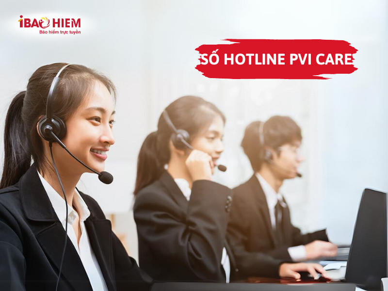 Số hotline PVI care