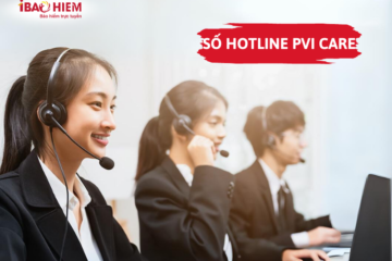 Số hotline PVI care