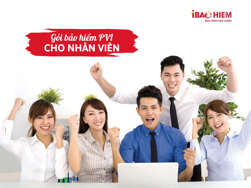 Gói bảo hiểm PVI cho nhân viên