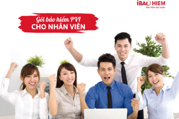 Gói bảo hiểm PVI cho nhân viên