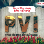 Địa chỉ Tổng công ty bảo hiểm PVI