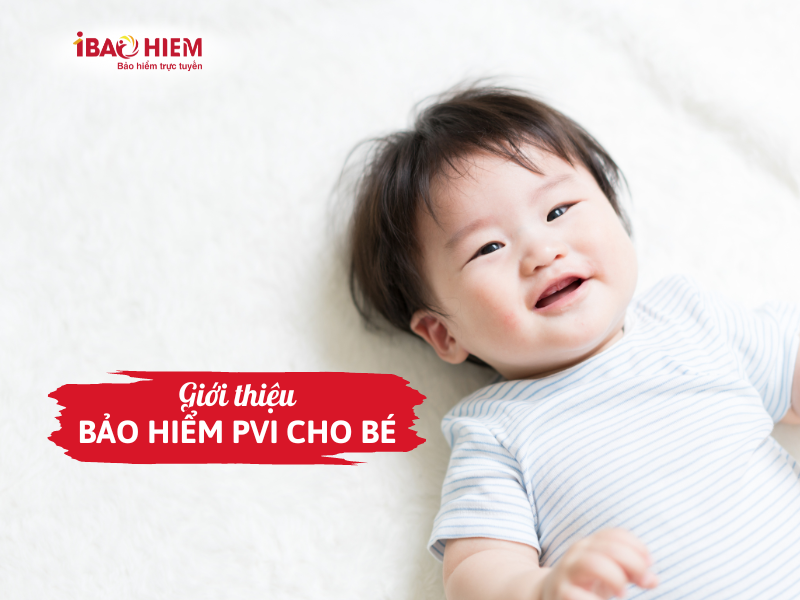 Giới thiệu bảo hiểm PVI cho bé