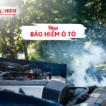 Mua bảo hiểm ô tô