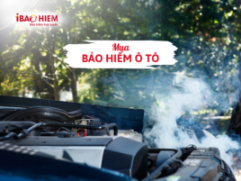 Mua bảo hiểm ô tô