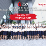 Bảo hiểm PVI phía Nam