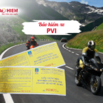 Bảo hiểm xe PVI