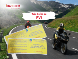 Bảo hiểm xe PVI