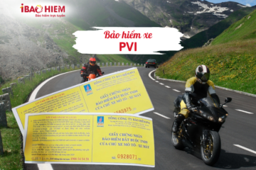 Bảo hiểm xe PVI