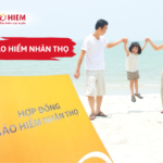 Bảo hiểm nhân thọ