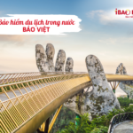 Bảo hiểm du lịch trong nước Bảo Việt