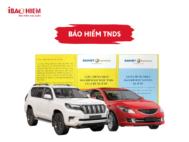 Bảo hiểm TNDS