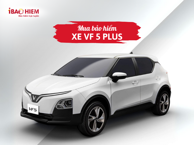 Mua bảo hiểm xe VF 5 Plus 5 Mua bảo hiểm xe VF 5 plus