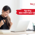 Hợp đồng bảo hiểm Bảo Việt