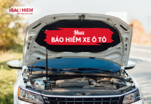 Mua bảo hiểm xe ô tô
