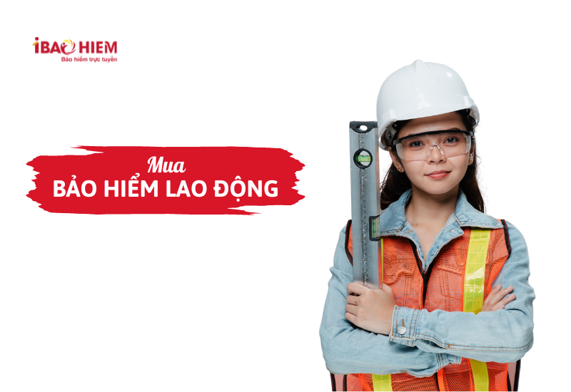 Mua bảo hiểm lao động