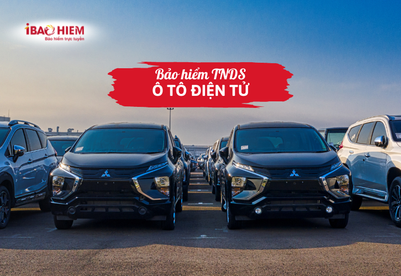 Bảo hiểm TNDS ô tô điện tử
