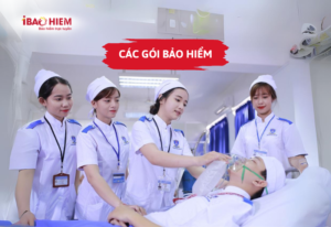 Các gói bảo hiểm