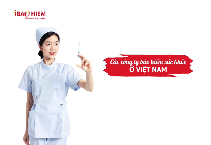 Các công ty bảo hiểm sức khỏe ở Việt Nam 5 Các công ty bảo hiểm sức khỏe ở Việt Nam