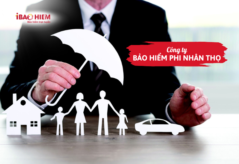 Công ty bảo hiểm phi nhân thọ