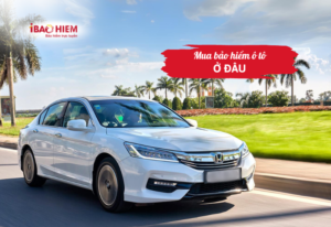 Mua bảo hiểm ô tô ở đâu