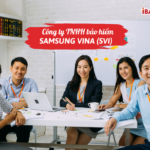 Công ty TNHH bảo hiểm Samsung Vina (SVI)