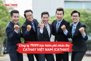 Công ty TNHH bảo hiểm phi nhân thọ Cathay Việt Nam (Cathay)