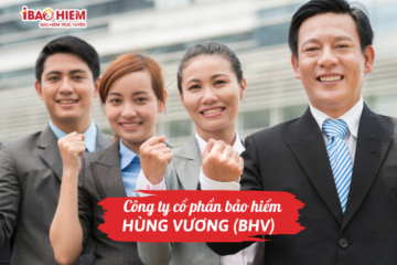 Công ty cổ phần bảo hiểm Hùng Vương (BHV)