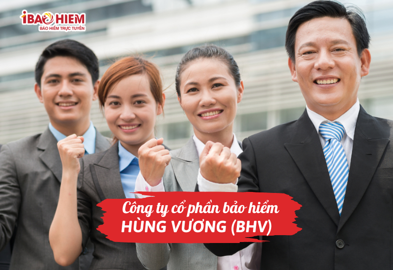 Công ty cổ phần bảo hiểm Hùng Vương (BHV)