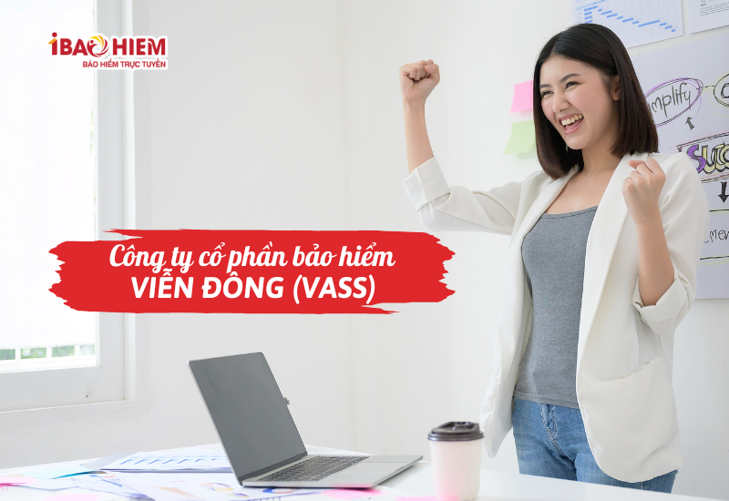 Công ty cổ phần bảo hiểm Viễn Đông (VASS)