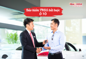 Bảo hiểm TNDS bắt buộc ô tô