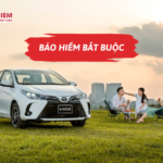 Bảo hiểm bắt buộc