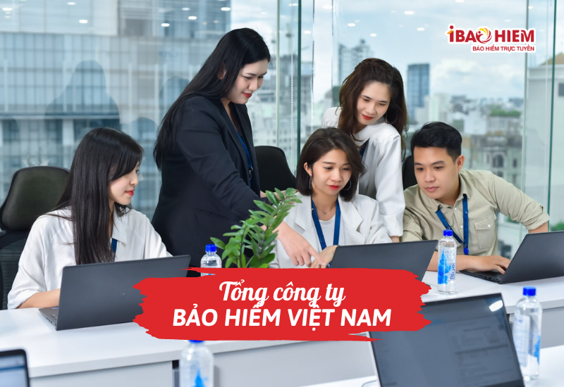 Tổng công ty bảo hiểm Việt Nam
