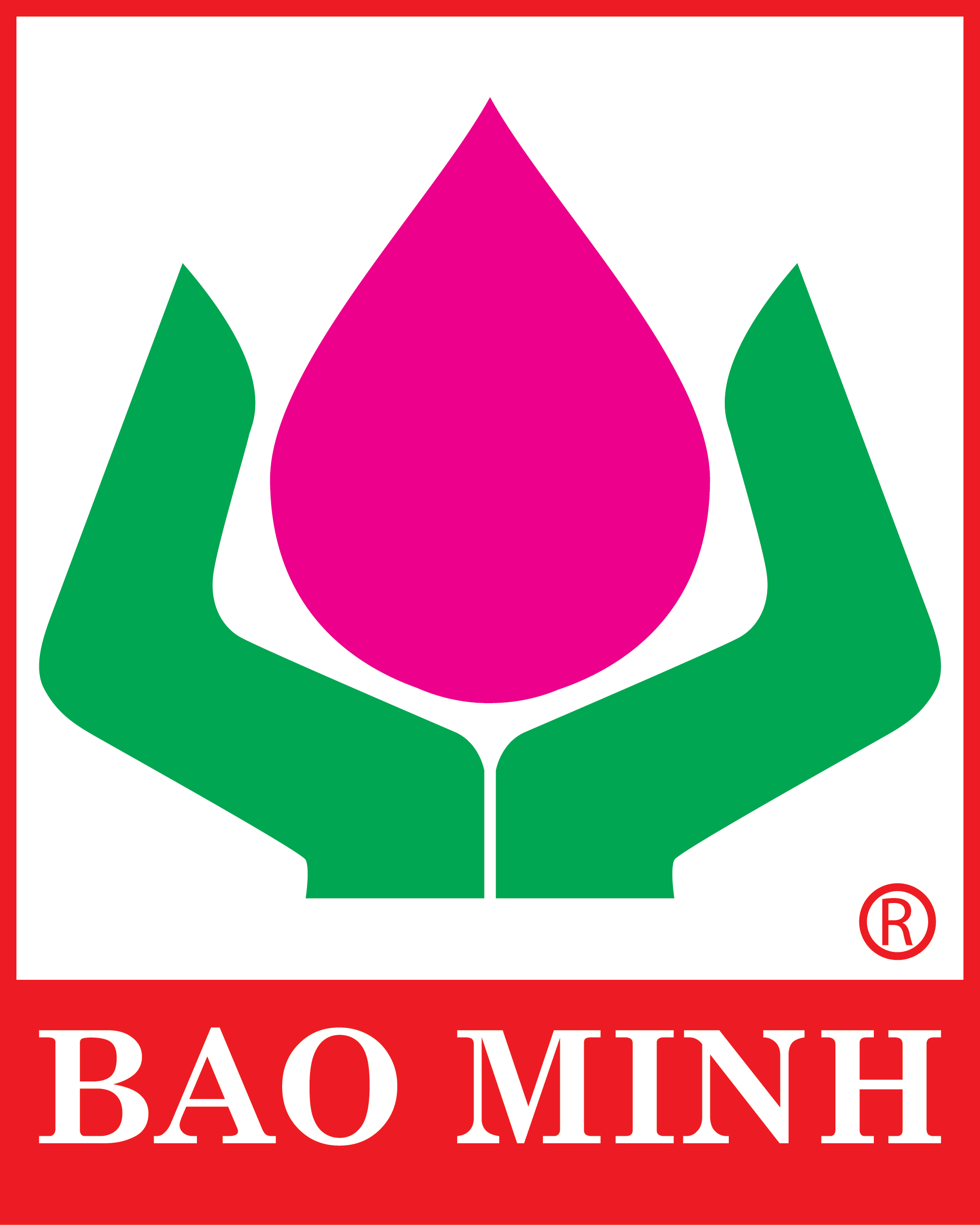Minh họa Bảo hiểm Bảo Minh