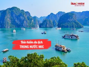 Bảo hiểm du lịch trong nước MIC
