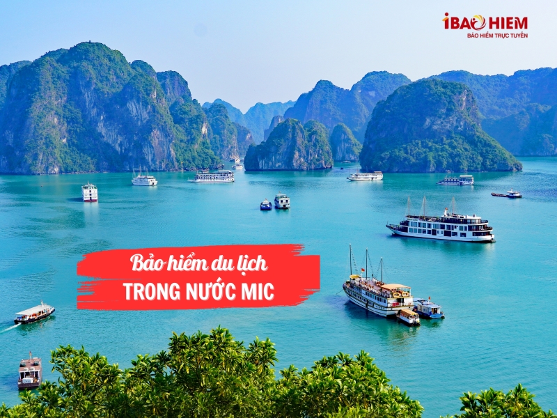 Bảo hiểm du lịch trong nước MIC