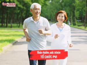 Bảo hiểm sức khỏe tổ chức PVI