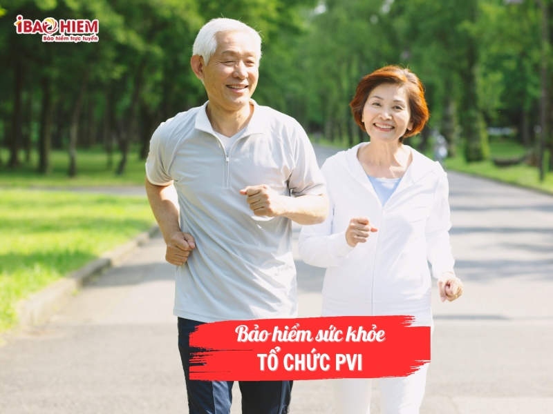 Bảo hiểm sức khỏe tổ chức PVI