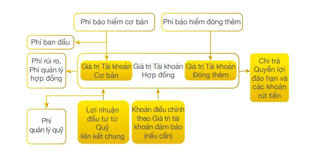 Cơ chế hoạt động bảo hiểm An Khang Như Ý