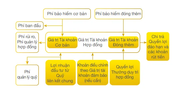Cơ chế hoạt động của An Tâm Hoạch Định