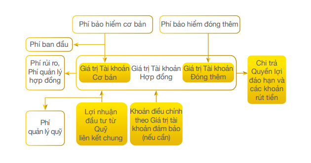 Co che hoat dong cua bao hiem An Khang Nhu Y
