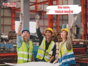 Bảo hiểm trách nhiệm