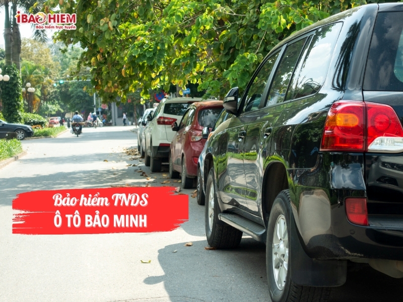 Bảo hiểm TNDS ô tô Bảo Minh 5 Bảo hiểm TNDS ô tô Bảo Minh
