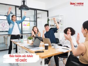 Bảo hiểm sức khỏe tổ chức